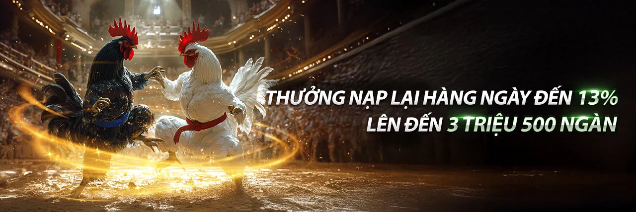 Hình ảnh chính về đá gà trực tuyến tại 78be code